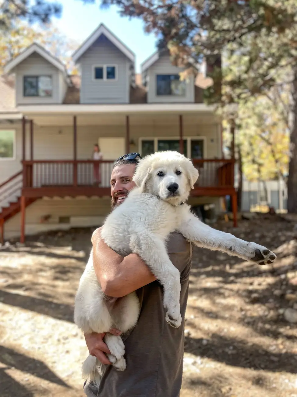 Kylo, the family’s Great Pyrenees, at Tradewinds Ranch