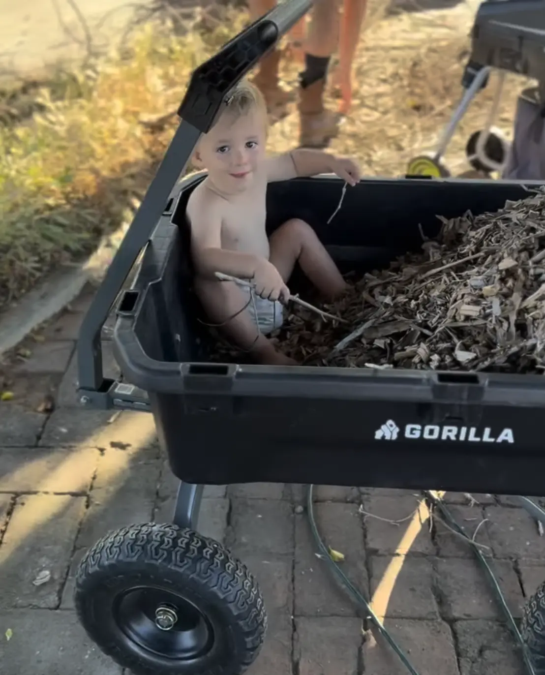 A cart brimming with fresh wood chips at Tradewinds Ranch, one of the children sitting beside the pile after a day of chipping prunings into mulch