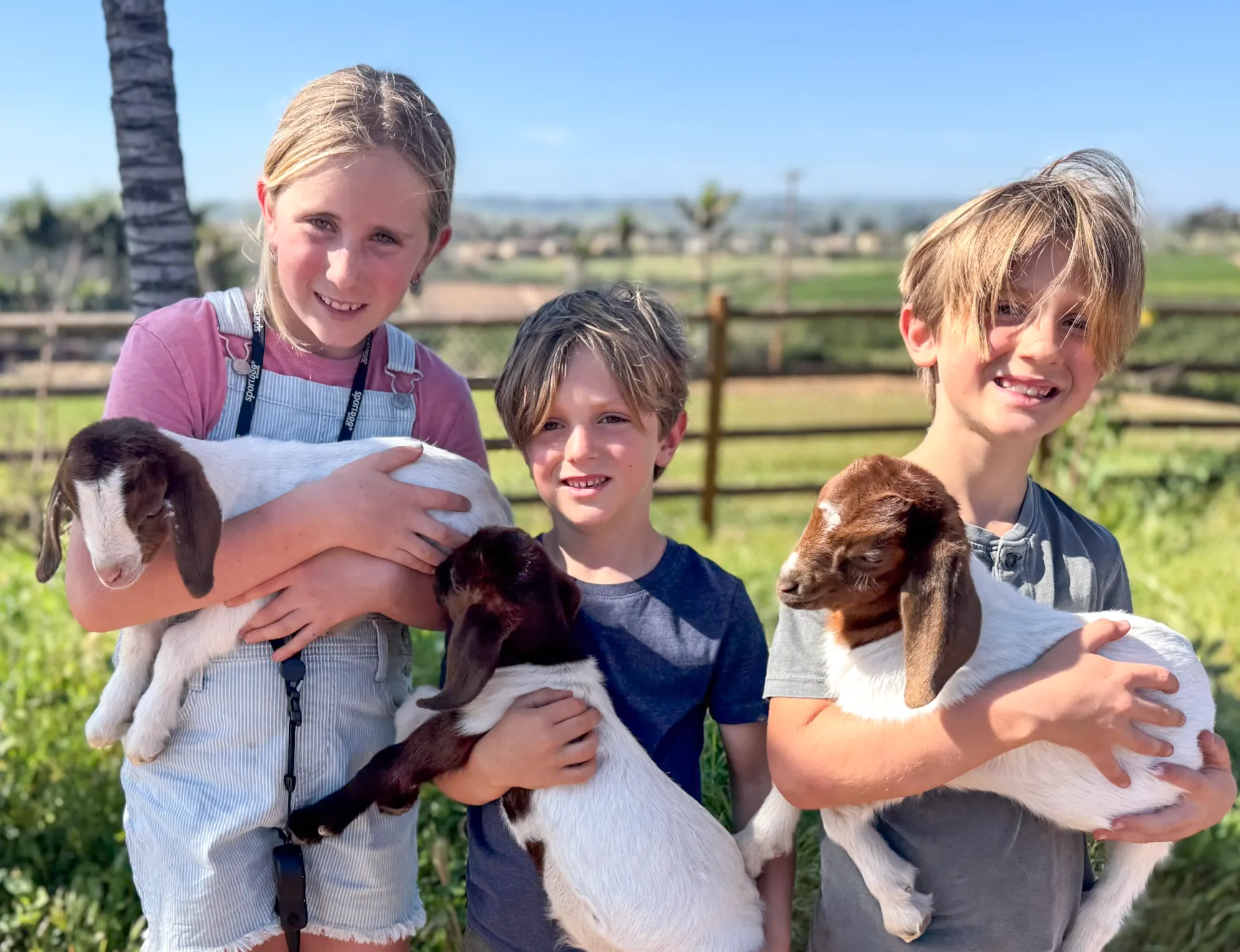 Three of the Schleicher kids holding baby goats by the fence line at Tradewinds Ranch
