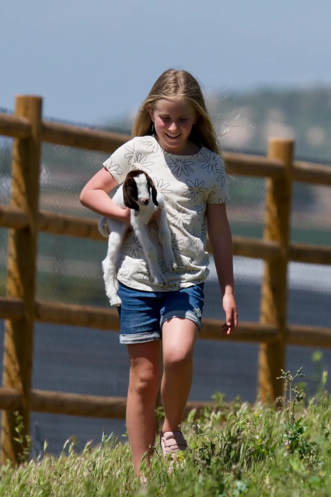 A girl carrying a chicken along the fence
