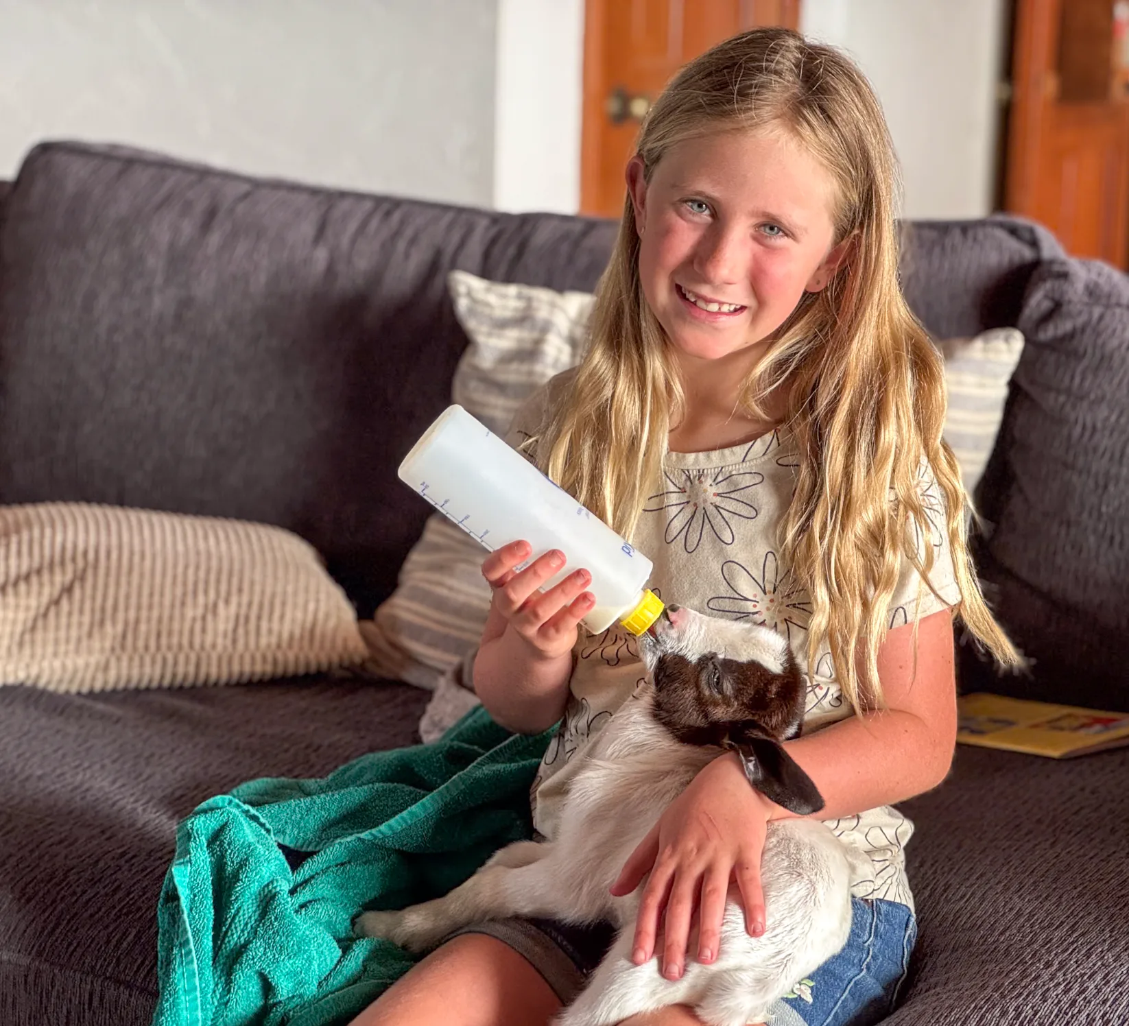 A girl on the couch holding a small animal