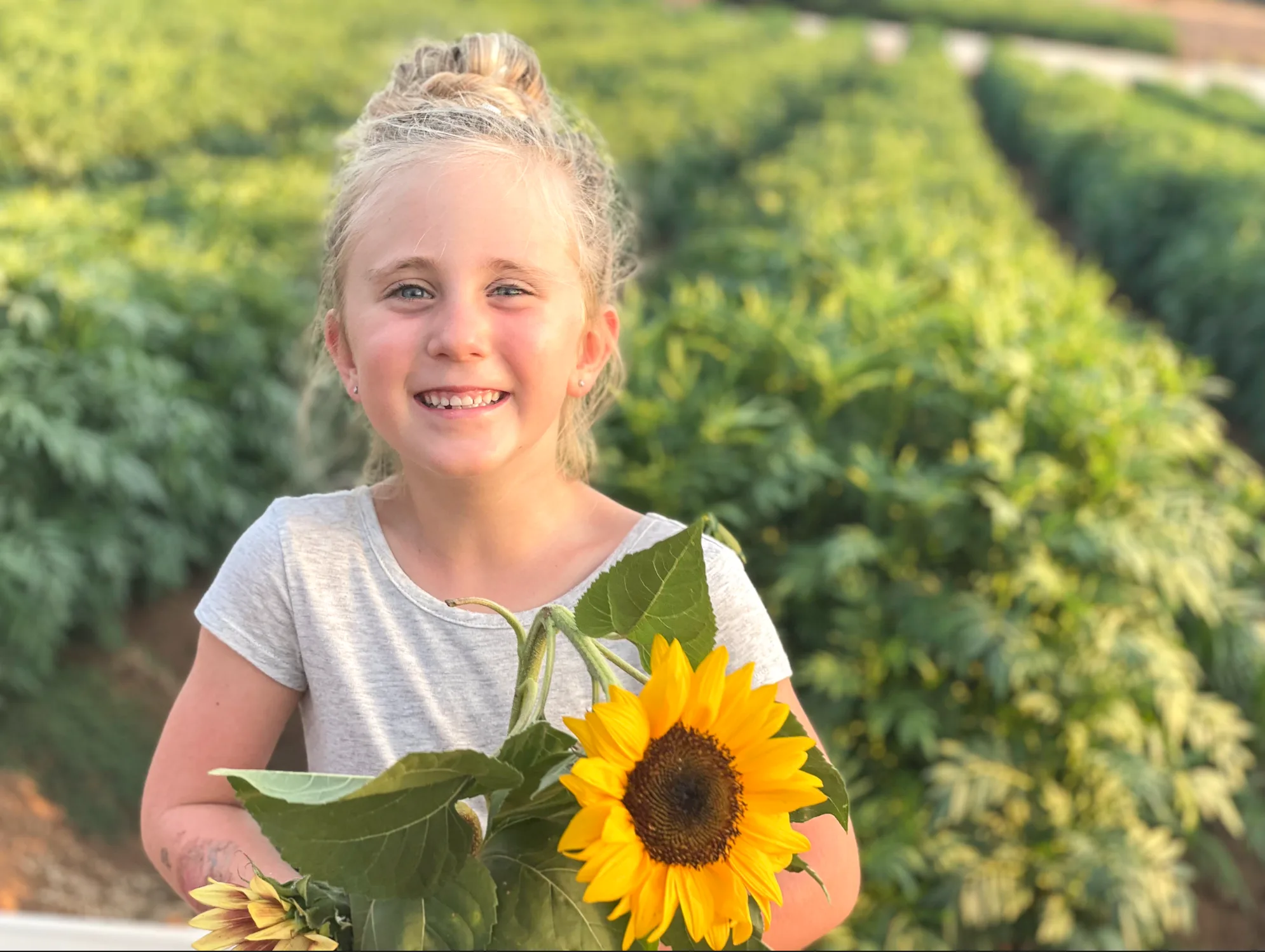 A girl holding a sunflower in the field