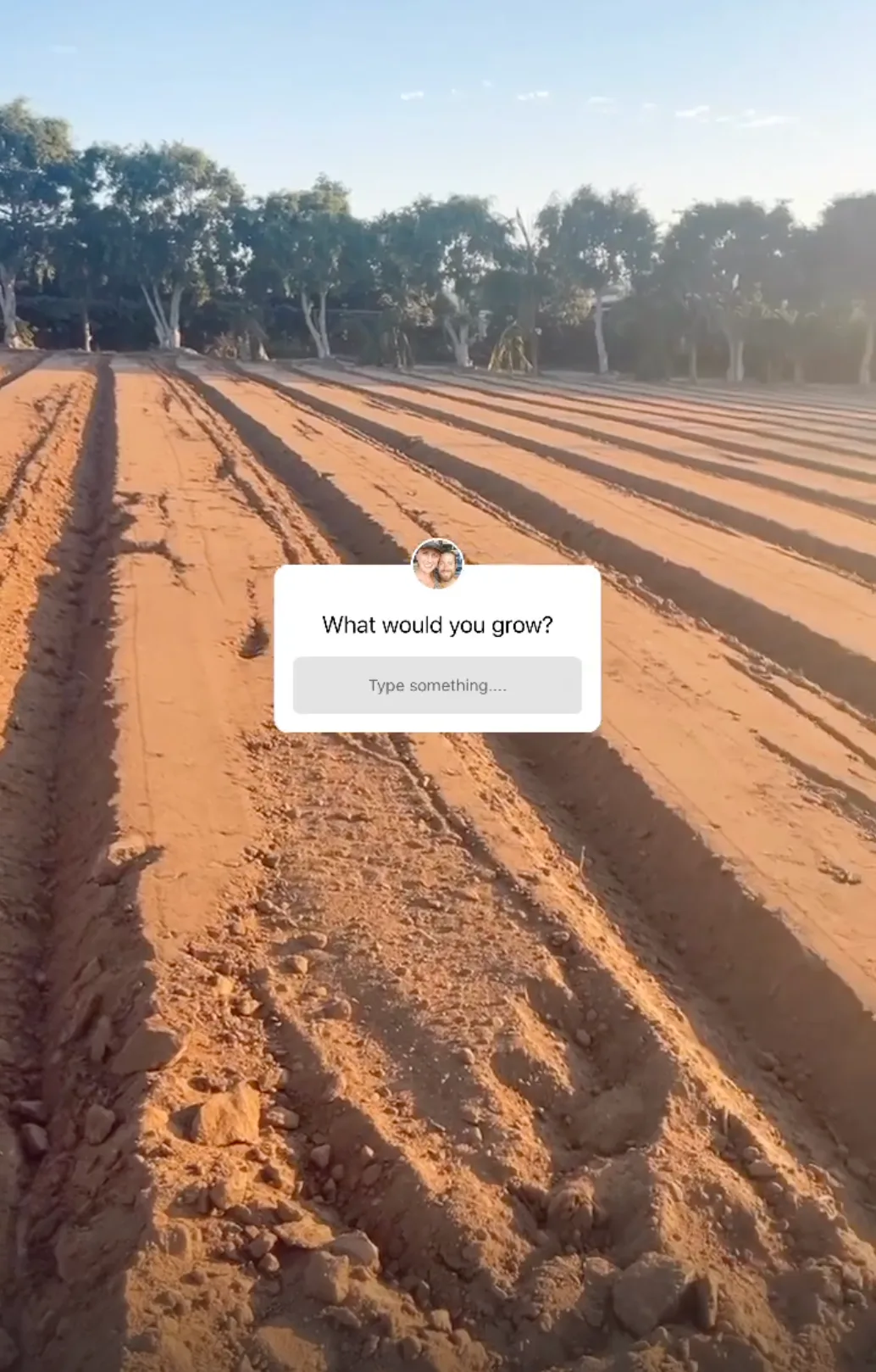 Freshly listed rows of red dirt at the ranch at sunrise