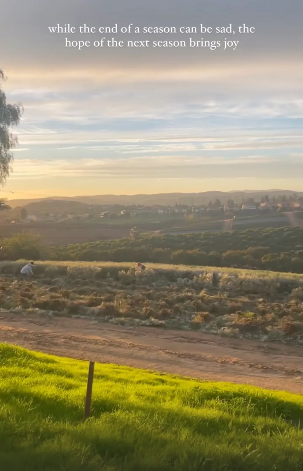 Sunrise over the hilltop at the end of a growing season