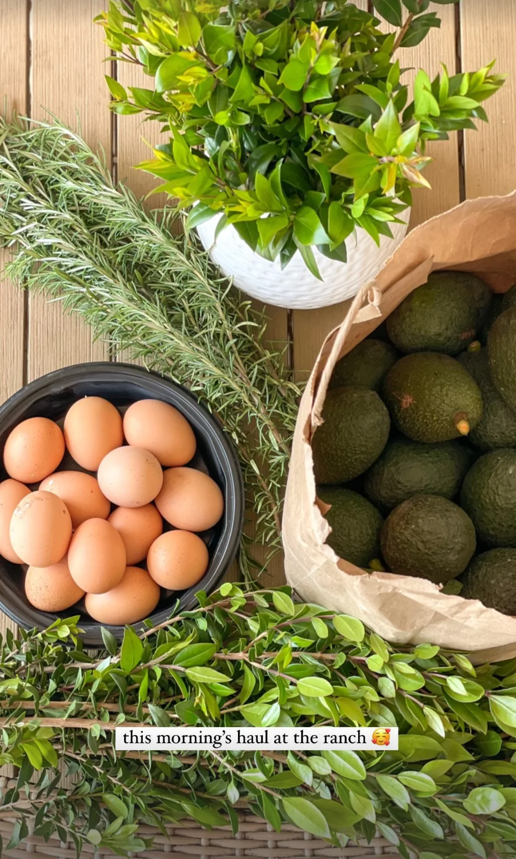 A morning haul of eggs, avocados, rosemary and greenery laid out on the table