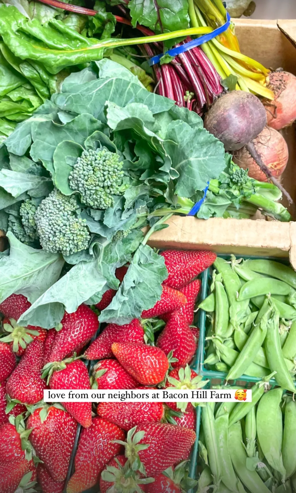 A crate of broccoli, greens, beets, strawberries and snap peas from neighboring Bacon Hill Farm