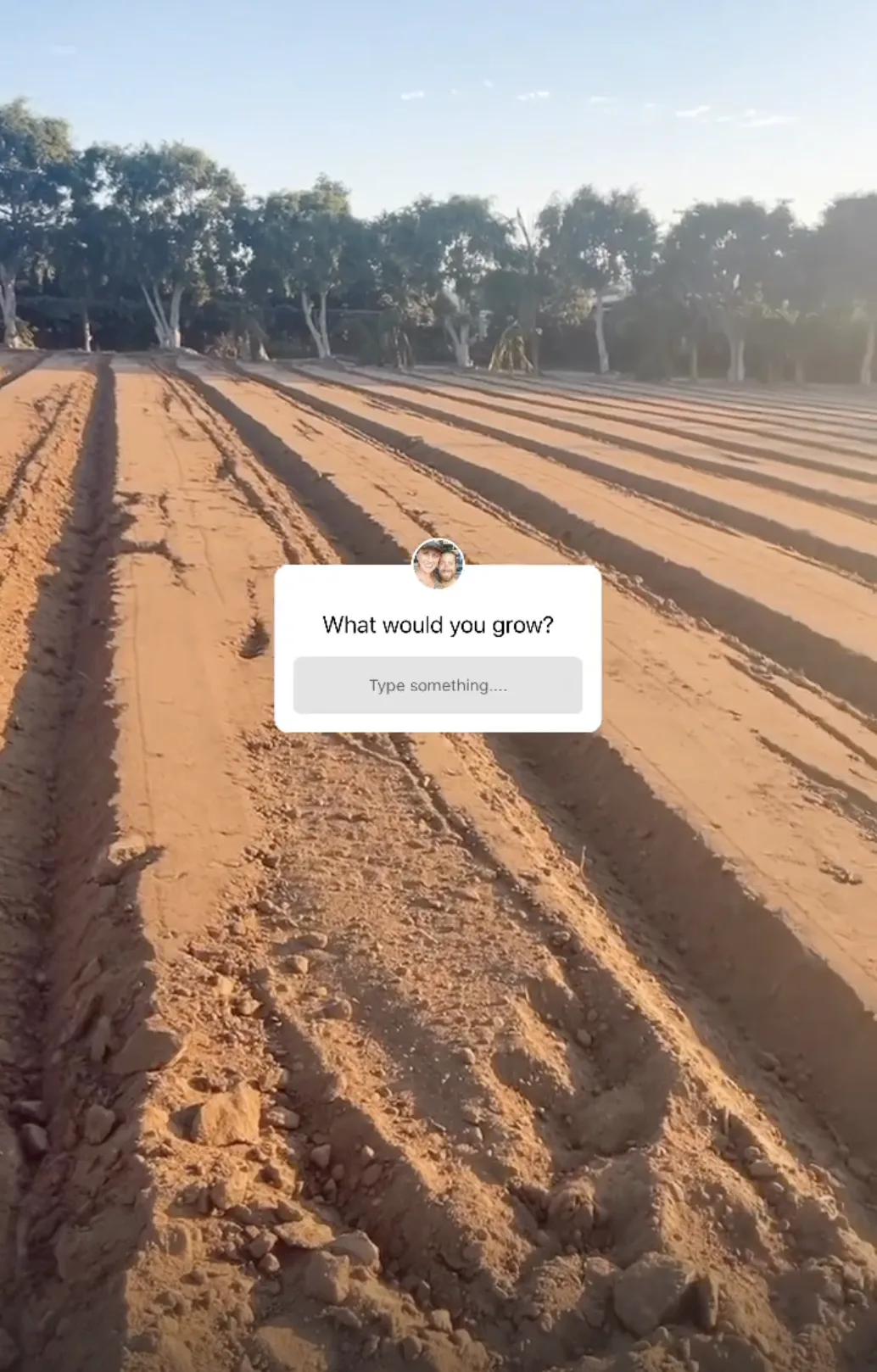 Freshly listed rows of red dirt at the ranch, waiting to be planted