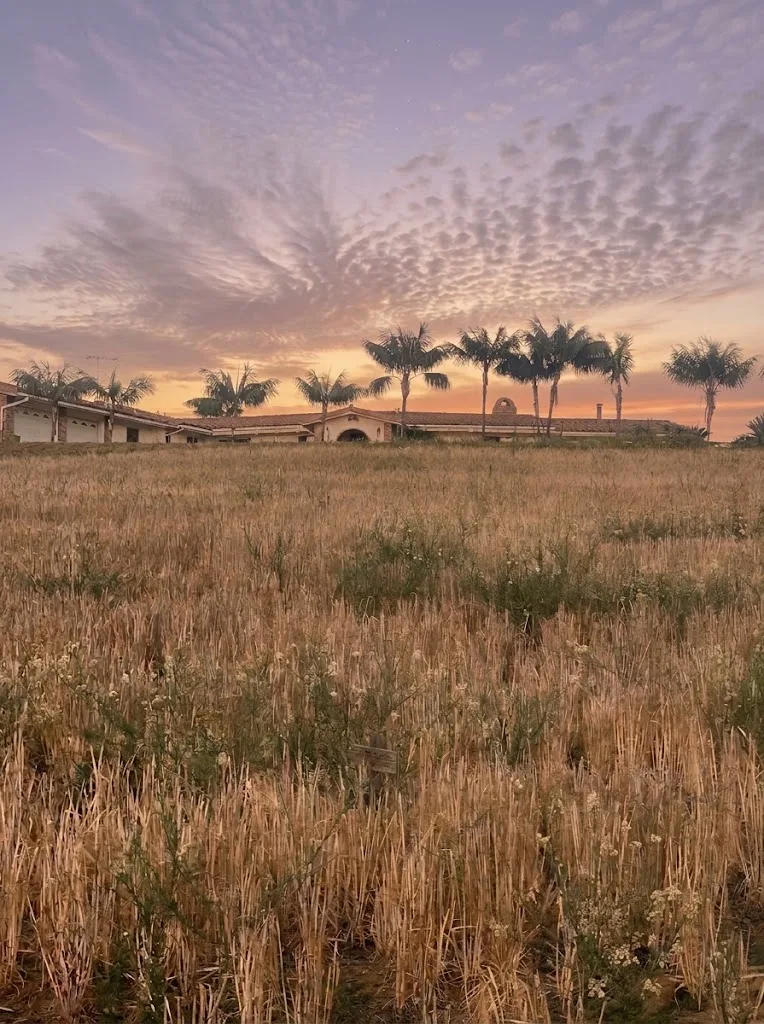 The Spanish-tile ranch house at Tradewinds Ranch under a mackerel sky at sunset, palms along the ridge above a wheat-colored field