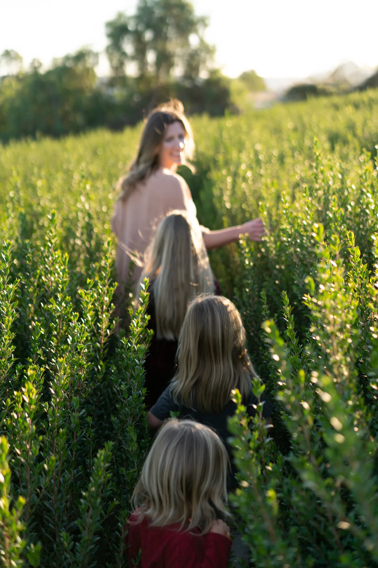 Mom leading the kids single file down a row of nursery stock at golden hour