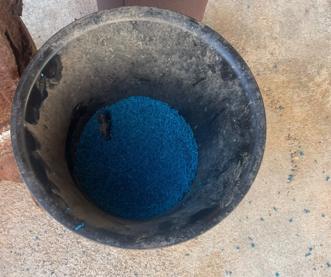 An open black planter bucket beside the turtles, filled with bright blue metaldehyde snail-bait pellets that resemble play sand