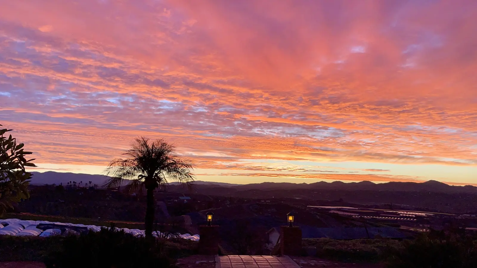 A vivid pink and orange sunrise over the eastern mountains at Tradewinds Ranch, seen from the east-facing veranda, a palm silhouetted against the clouds and the ranch lanterns glowing below