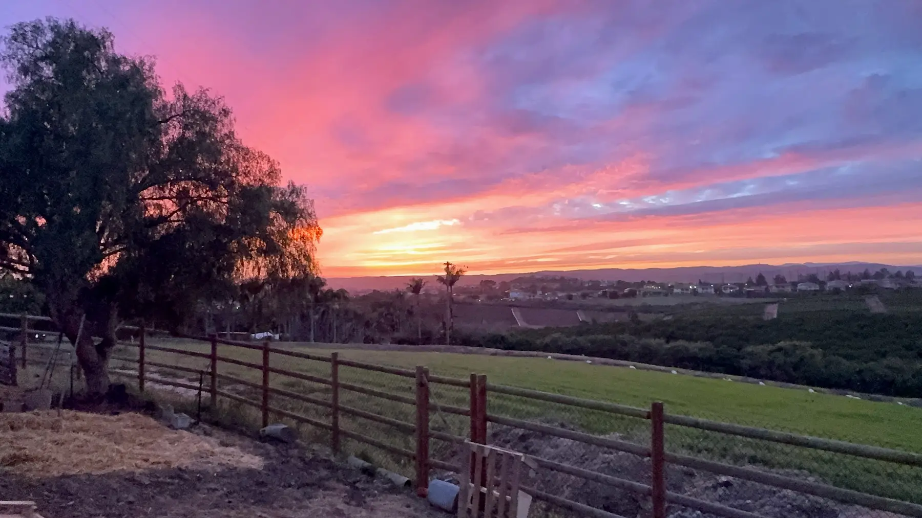 A vivid pink sunset over the hilltop ranch, a peppertree silhouetted against the sky