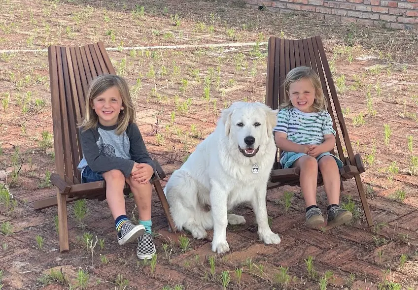 Trooper, the family’s Great Pyrenees puppy, at Tradewinds Ranch